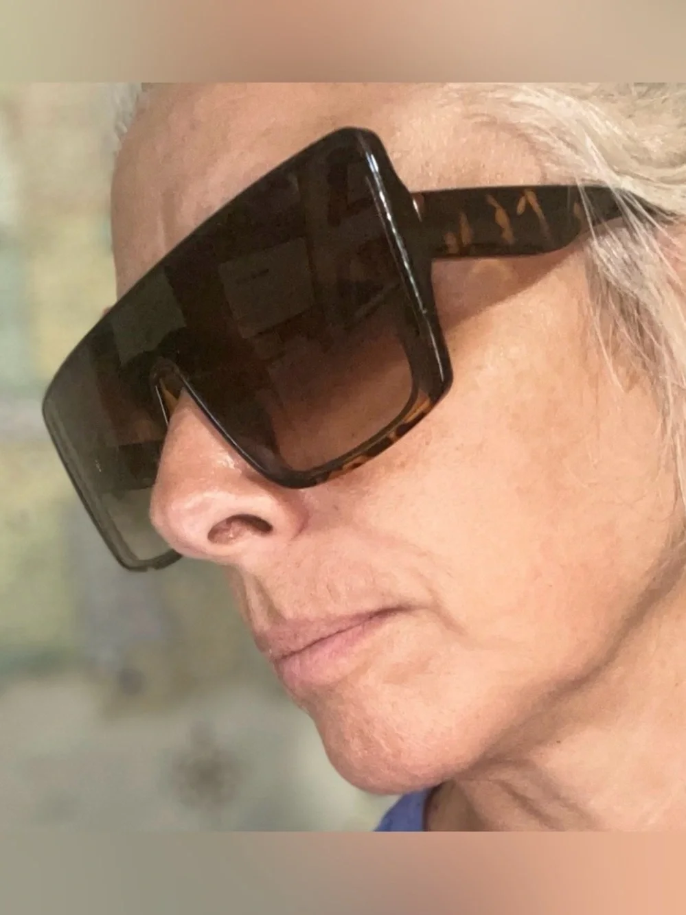 Tortoiseshell Shield Sunglasses - Brown Gradient Big
